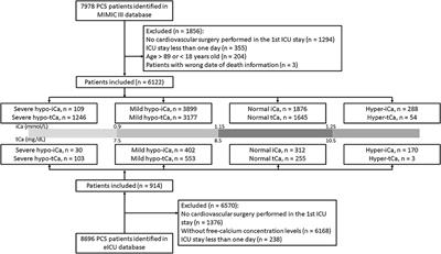 The Prognostic Value of Calcium in Post-Cardiovascular Surgery Patients in the Intensive Care Unit